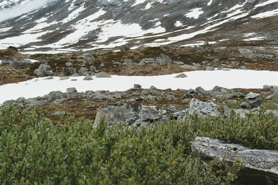 2003060719 gml strynfjveg